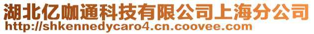 湖北億咖通科技有限公司上海分公司