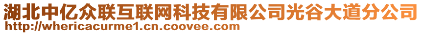 湖北中億眾聯(lián)互聯(lián)網(wǎng)科技有限公司光谷大道分公司