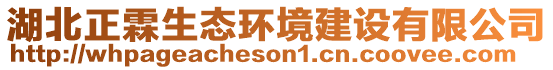 湖北正霖生態(tài)環(huán)境建設(shè)有限公司