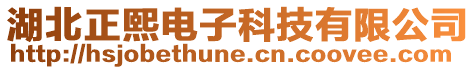 湖北正熙電子科技有限公司