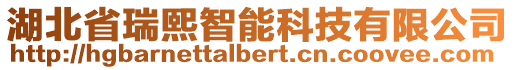 湖北省瑞熙智能科技有限公司