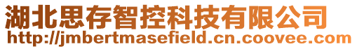 湖北思存智控科技有限公司