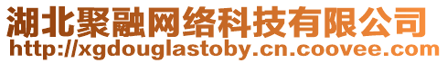 湖北聚融網絡科技有限公司