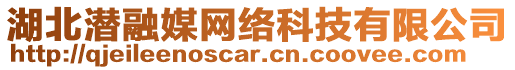 湖北潛融媒網絡科技有限公司