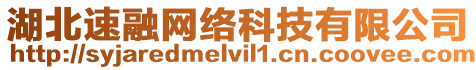 湖北速融網絡科技有限公司