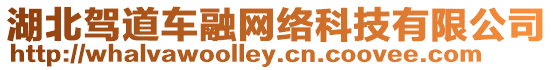 湖北駕道車融網絡科技有限公司