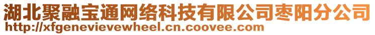 湖北聚融寶通網絡科技有限公司棗陽分公司