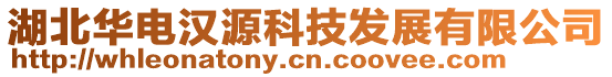 湖北華電漢源科技發展有限公司