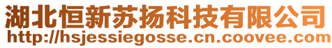 湖北恒新蘇揚(yáng)科技有限公司