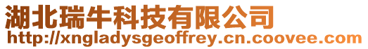 湖北瑞牛科技有限公司