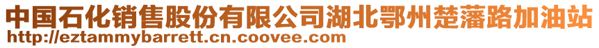 中國石化銷售股份有限公司湖北鄂州楚藩路加油站