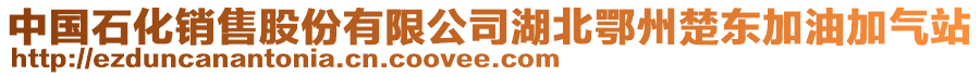 中國(guó)石化銷售股份有限公司湖北鄂州楚東加油加氣站