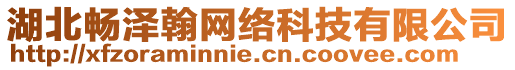 湖北暢澤翰網絡科技有限公司