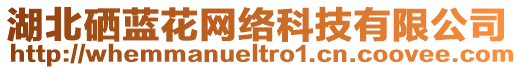 湖北硒藍(lán)花網(wǎng)絡(luò)科技有限公司