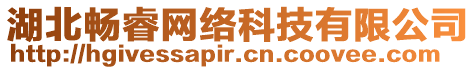 湖北暢睿網(wǎng)絡(luò)科技有限公司