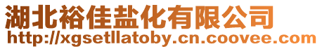 湖北裕佳鹽化有限公司