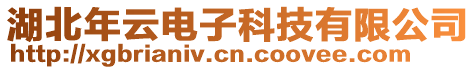 湖北年云電子科技有限公司