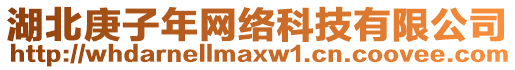 湖北庚子年網(wǎng)絡(luò)科技有限公司