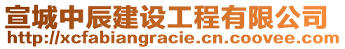 宣城中辰建設工程有限公司