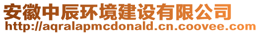 安徽中辰環境建設有限公司