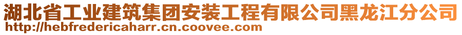 湖北省工業(yè)建筑集團安裝工程有限公司黑龍江分公司