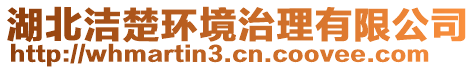 湖北潔楚環(huán)境治理有限公司