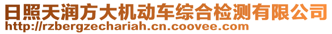 日照天潤方大機動車綜合檢測有限公司