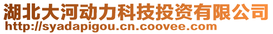 湖北大河動力科技投資有限公司