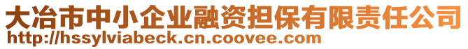 大冶市中小企業融資擔保有限責任公司