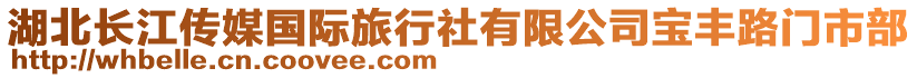 湖北長江傳媒國際旅行社有限公司寶豐路門市部