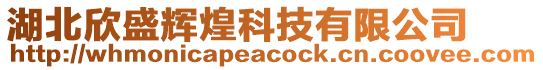 湖北欣盛輝煌科技有限公司