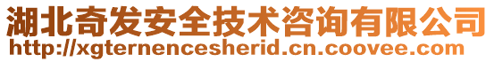 湖北奇發(fā)安全技術(shù)咨詢有限公司