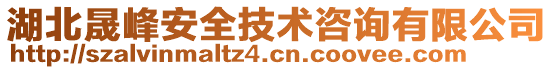 湖北晟峰安全技術(shù)咨詢有限公司