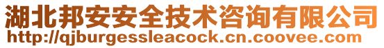 湖北邦安安全技術咨詢有限公司
