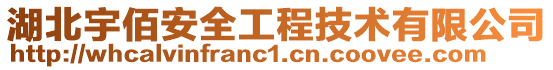 湖北宇佰安全工程技術(shù)有限公司