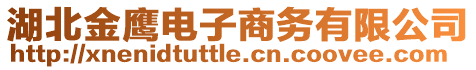 湖北金鷹電子商務(wù)有限公司