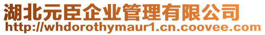 湖北元臣企業(yè)管理有限公司