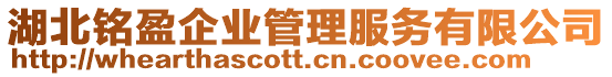 湖北銘盈企業(yè)管理服務(wù)有限公司