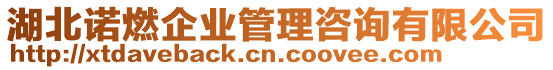 湖北諾燃企業(yè)管理咨詢有限公司