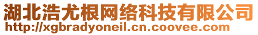 湖北浩尤根網(wǎng)絡(luò)科技有限公司