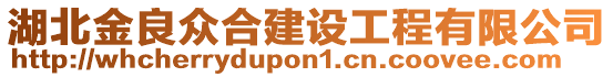 湖北金良眾合建設(shè)工程有限公司