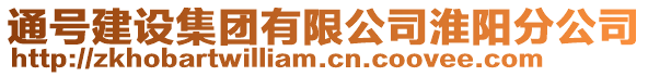 通號建設集團有限公司淮陽分公司