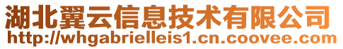 湖北翼云信息技術有限公司