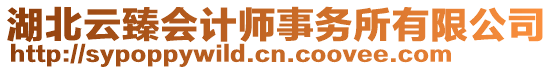 湖北云臻會計(jì)師事務(wù)所有限公司