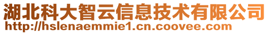 湖北科大智云信息技術(shù)有限公司