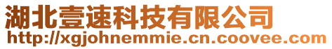 湖北壹速科技有限公司