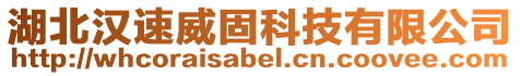 湖北漢速威固科技有限公司