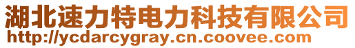 湖北速力特電力科技有限公司