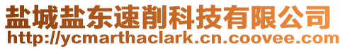 鹽城鹽東速削科技有限公司