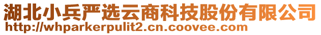 湖北小兵嚴(yán)選云商科技股份有限公司